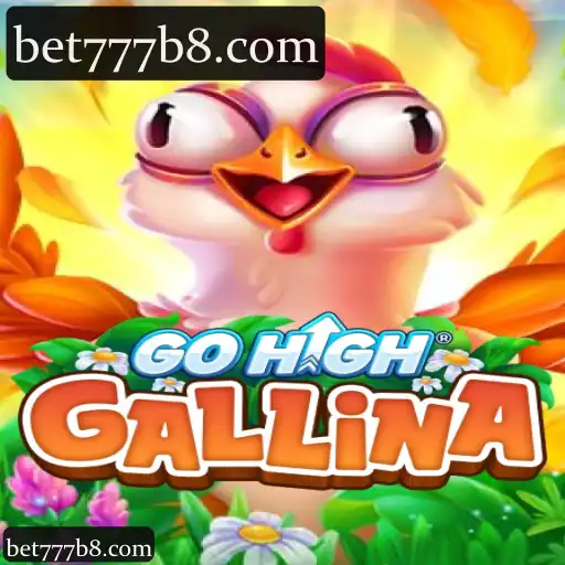 GoHighGallina